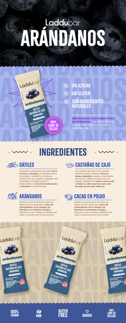 LADDUBAR ARÁNDANOS X12
